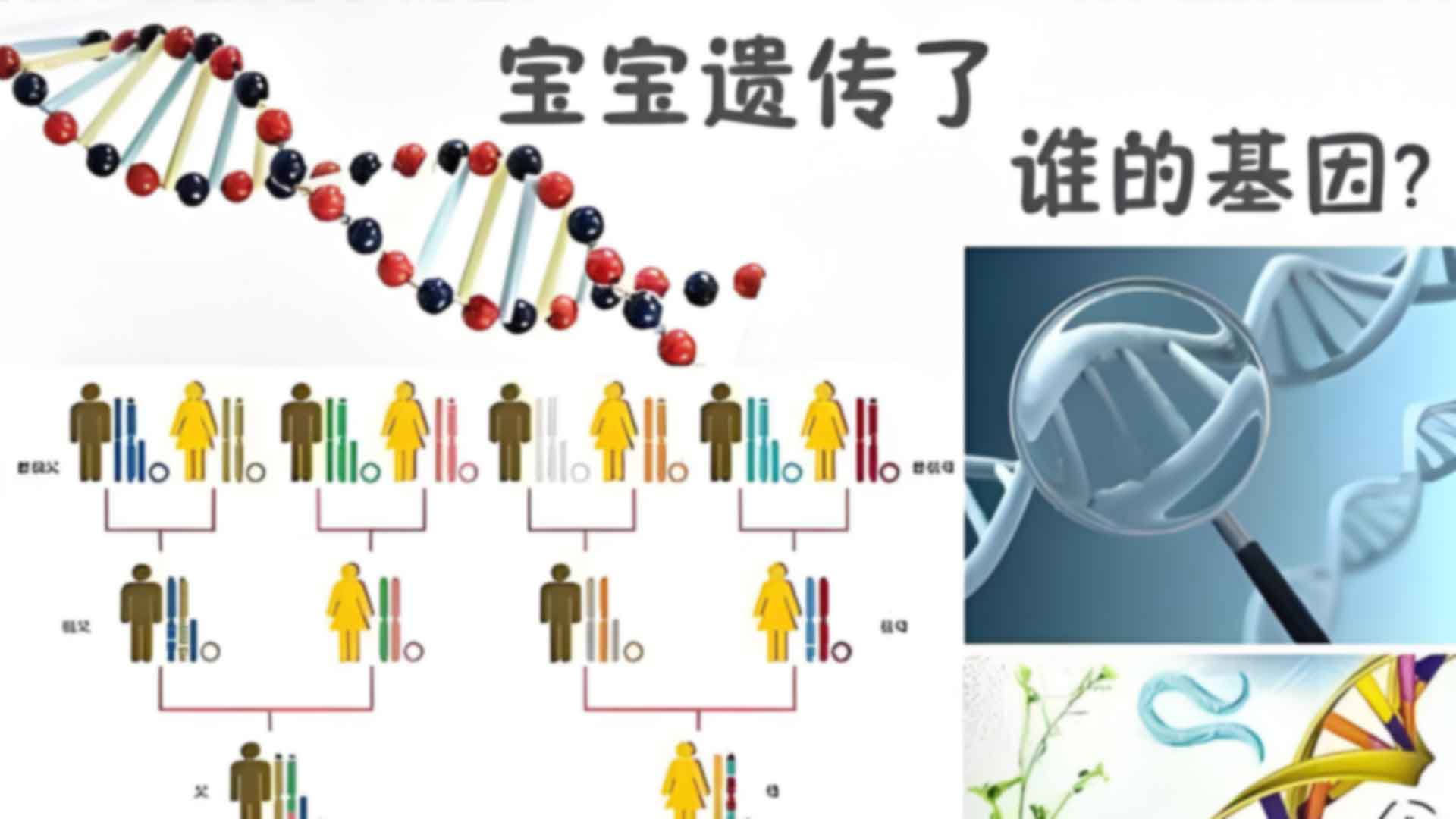 兰州上户口亲子鉴定流程一览