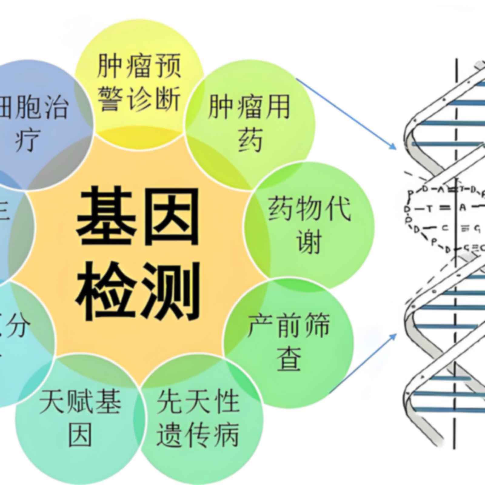 兰州落户亲子鉴定费用表一览